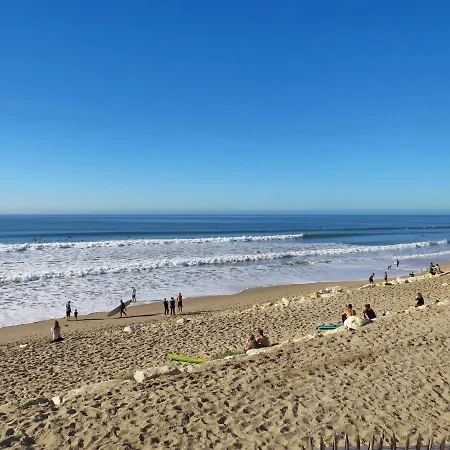 Les Oceanides-4 By Interhome Lacanau