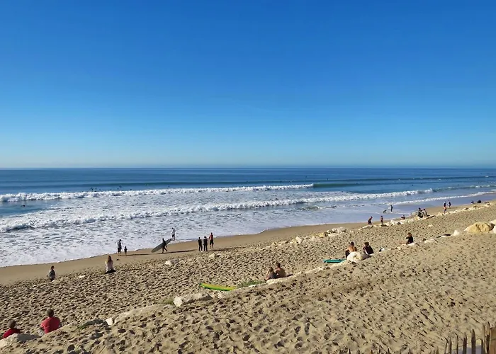 Les Oceanides-4 By Interhome Lacanau