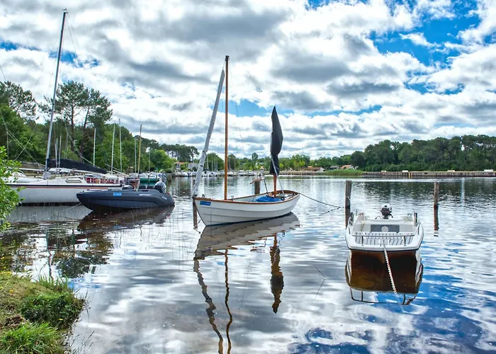 Les Oceanides-4 By Interhome Lejlighed *